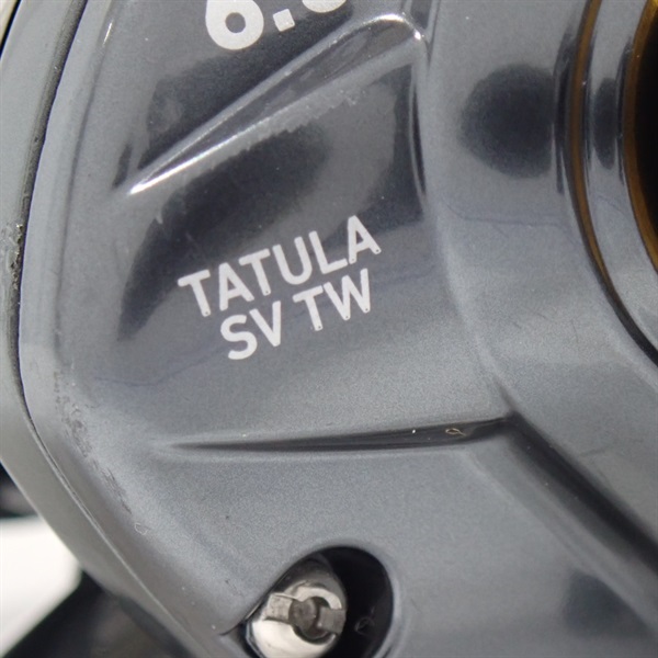 ２０タトゥーラ　ＳＶＴＷ右
